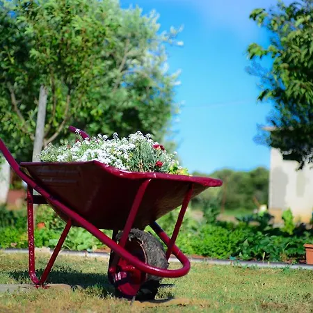 Apartment Angelina *