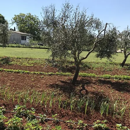 Apartment Angelina Pula