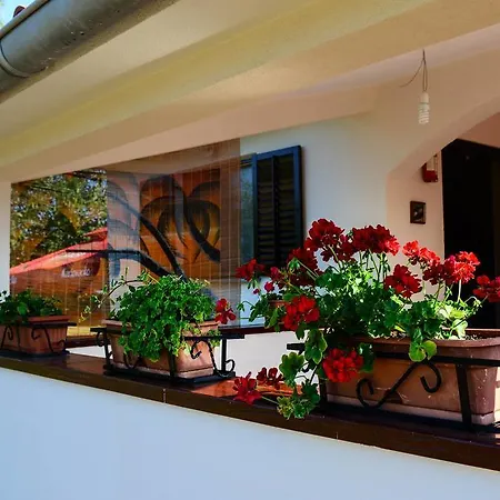 Angelina Apartament Pula