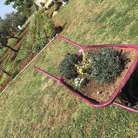 Apartamento Angelina Pula